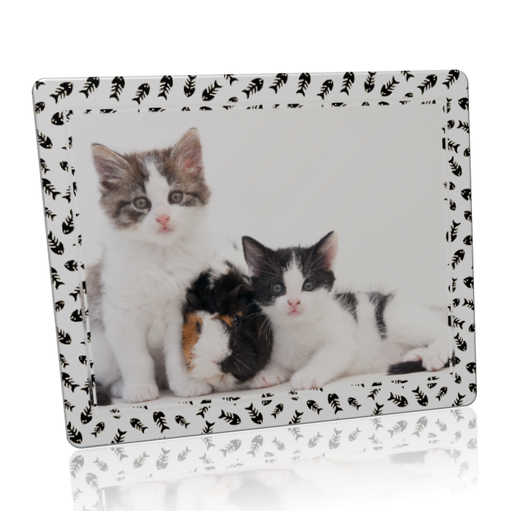 Custom Metal Print with Pet Theme Border
