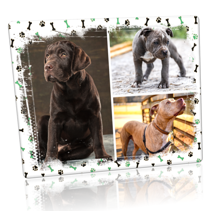 Custom Metal Print. 8x10 Landscape Collage of 3 Metal Prints (Optional Text and Borders)