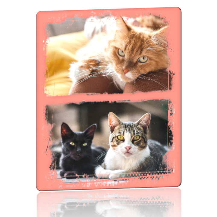 Personalized Metal Print: 8x10 Portrait Collage of 2 Metal Prints, Optional Text and Borders.