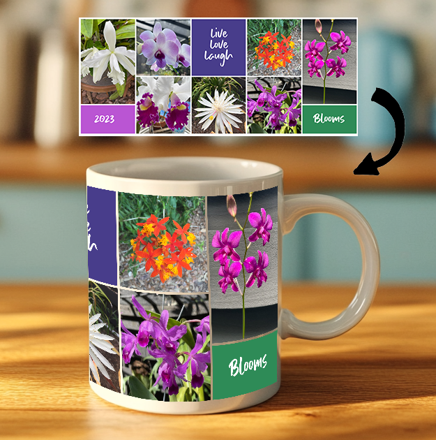 Custom Photo Mug - 7 Images and 3 Colored Text Boxes