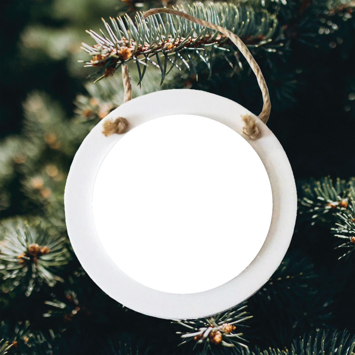 White Wood Circle Ornament