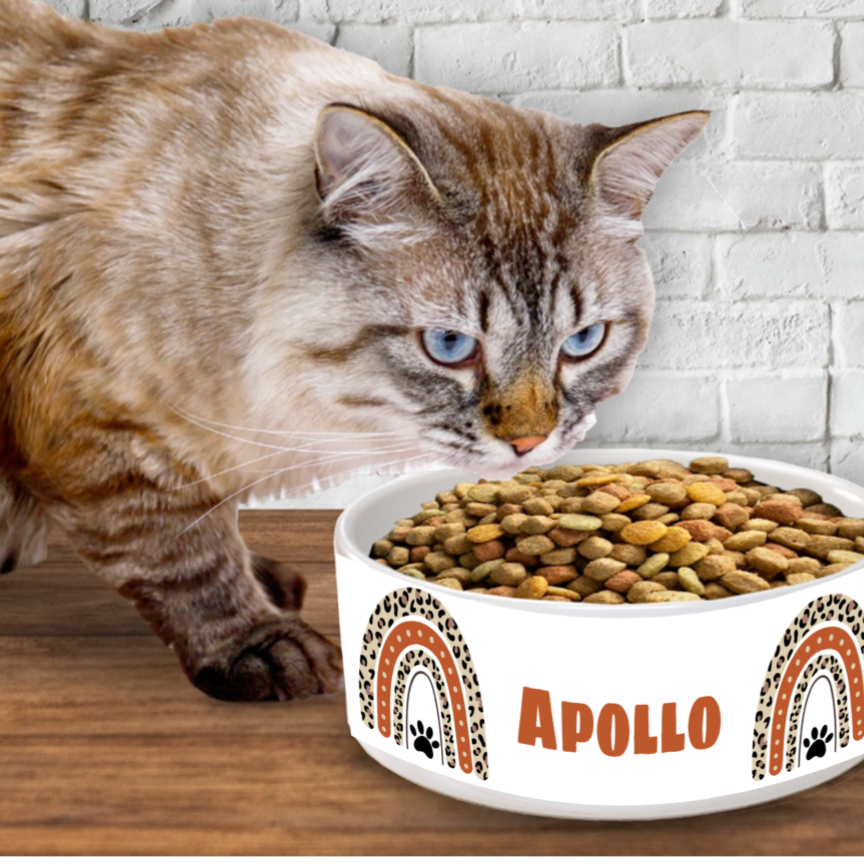 Ceramic Pet Bowls