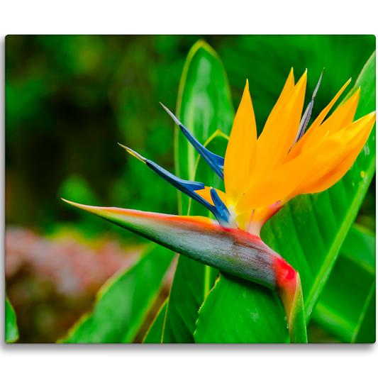 Large 10x12 Custom Metal Photo Print – HD Aluminum Landscape Wall Art