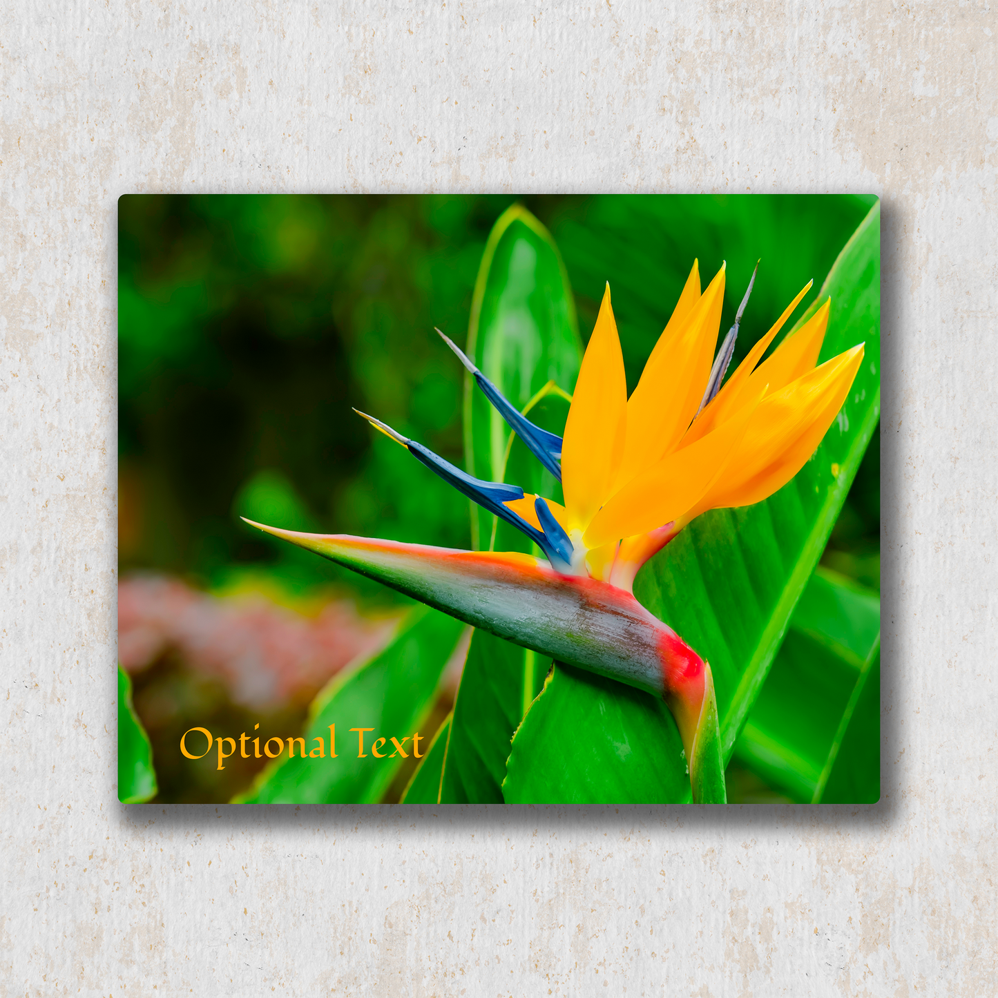 10x12 Custom Metal - Classic Landscape Single Image