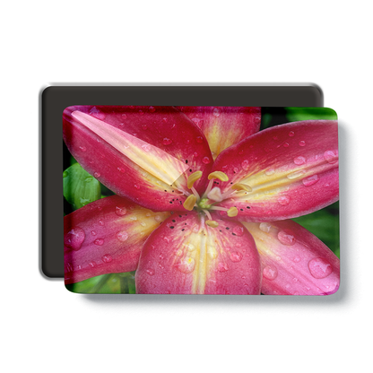 2" x 3" Acrylic Magnet ( 1 magnet )