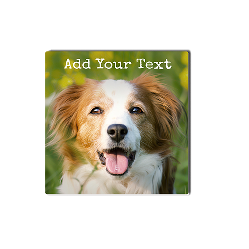 Acrylic Photo Art 4x4 ~ Classic Portrait Single