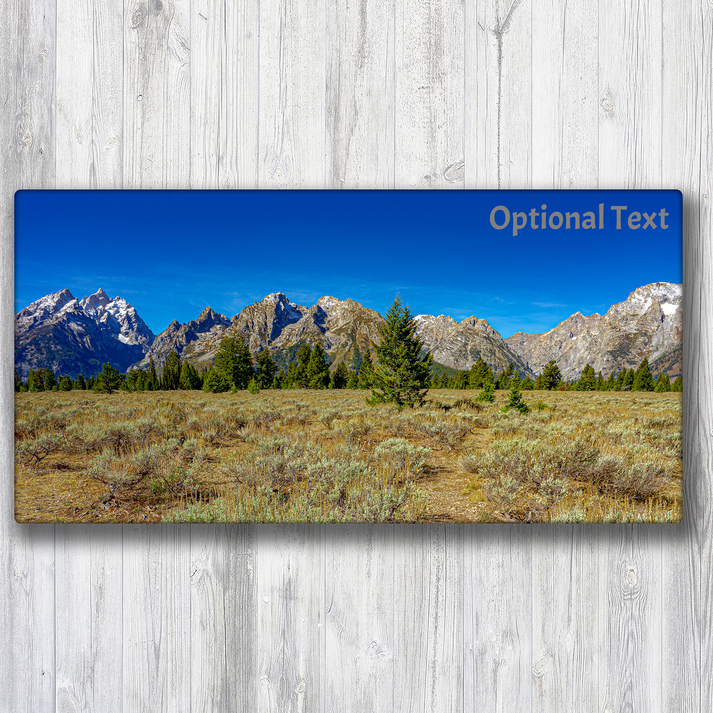 5x10 Custom Metal - Classic Landscape Single Image
