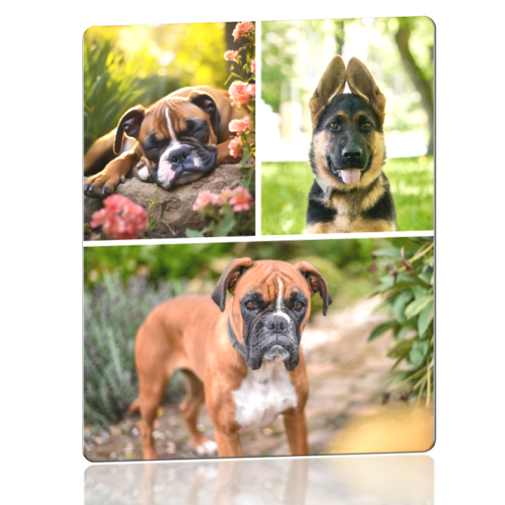 Personalized Metal Wall Art: 8x10 Portrait Collage of 3 Metal Prints (Optional Text and Borders)