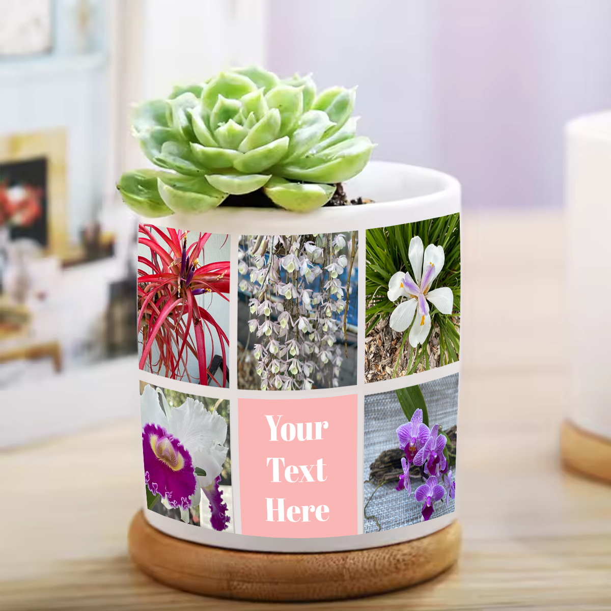 Custom Ceramic Flower Pot with Bamboo Base: 9 Photos & 1 Text Box