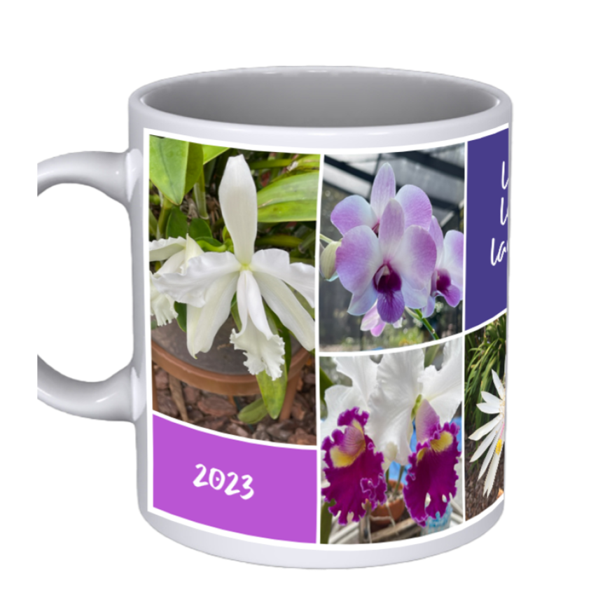 Custom Photo Mug - 7 Images and 3 Colored Text Boxes