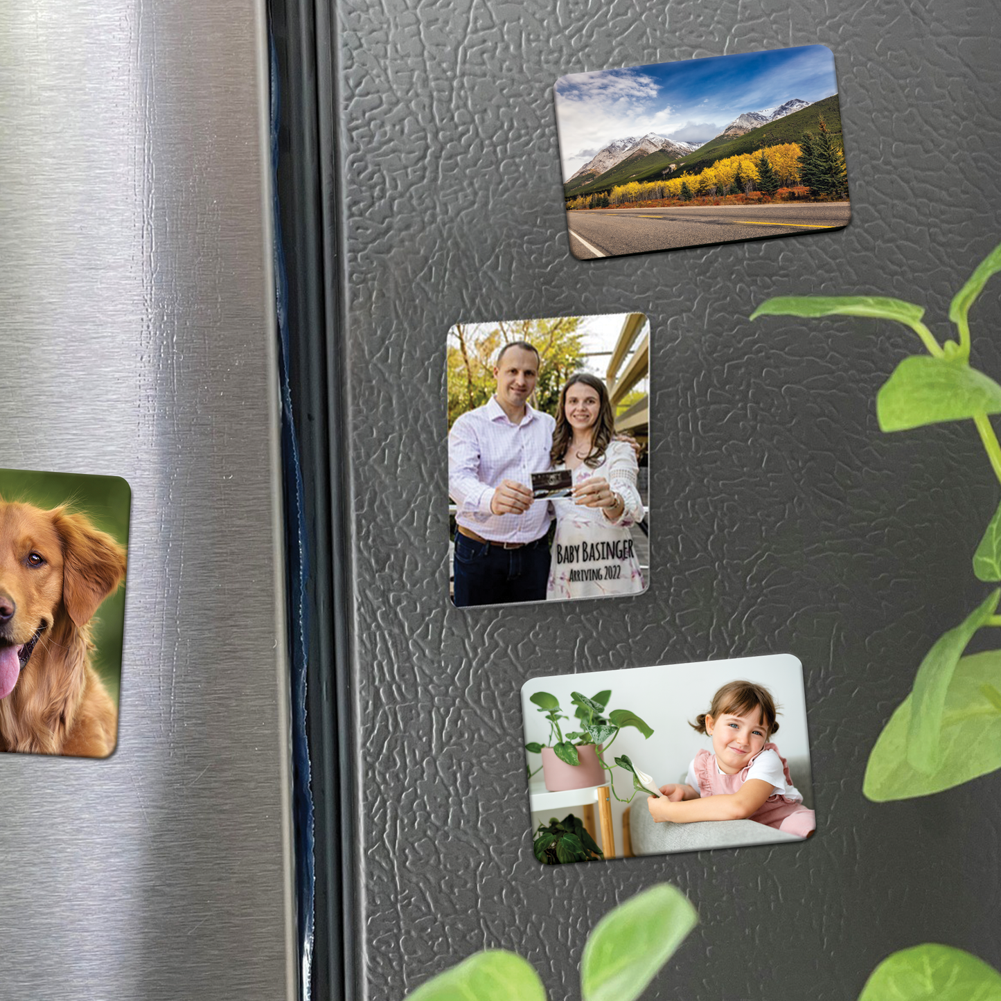 Custom Magnets:  2" x 3" Metal with Magnetic Backing