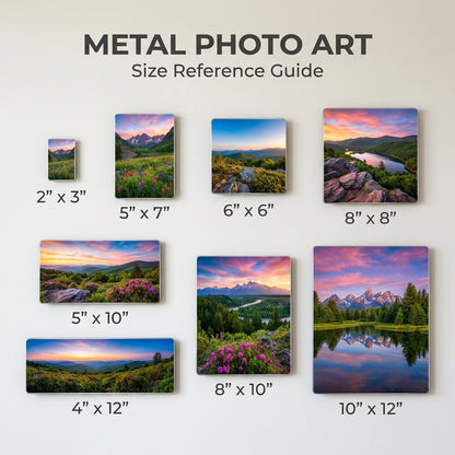 Custom 10x12 Metal Photo Print — Landscape Single HD Aluminum Wall Art