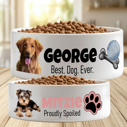 Ceramic Pet Bowl - Bowl 2