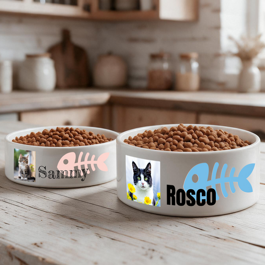 Ceramic Pet Bowl - Bowl 7