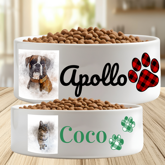 Ceramic Pet Bowl - Bowl 4 Watercolor Effect on Image