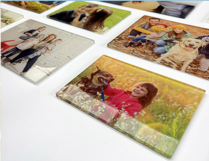 Acrylic Photo Art 8x10 ~ Classic Portrait Single