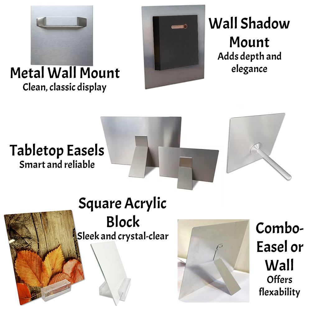 4x12 Custom Metal - Classic Landscape Single Image